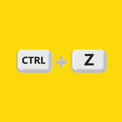 Ctrl Z is used as a shortcut to Undo