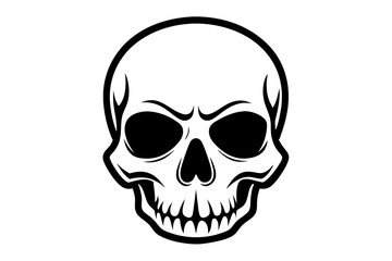 Fototapeta premium Skull vector line art illustration