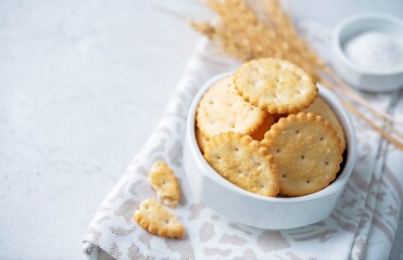 Salty crackers on a gray background