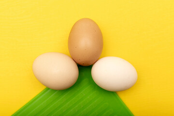 Chiken eggs on yellow background