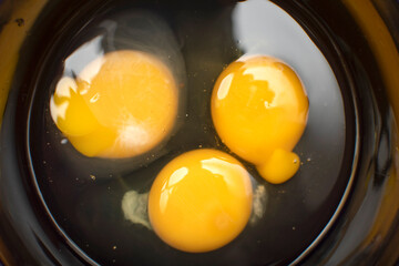 Egg yolks in a bowl