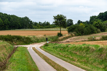 Winding road through the harvested fields and hills at the Flemish countryside around Breisem, Belgium