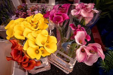 Obraz premium Colorful Flower Market on a Pedestrian Street - Calla Lily 2