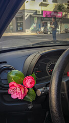 Camellias flowers in car 