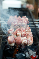 skewers of meat cooked on hot grill