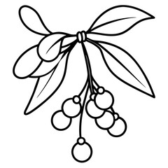 A sprig of mistletoe with delicate leaves and berries, hanging from a bow vector