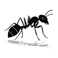 Ant Vector silhouette illustration