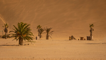 Sand Dunes in Namibia, Southern Africa