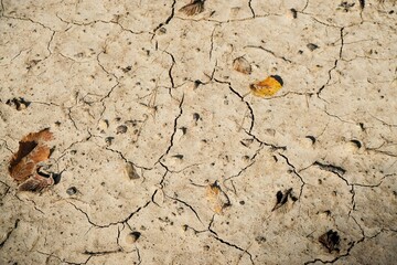 Trockener brauner Erdboden mit Rissmuster und goldbraunen Herbstblättern bei Sonne am Morgen im...