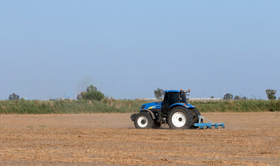 Obraz premium A tractor plows a field for winter wheat planting after the pistachio harvest in evening time