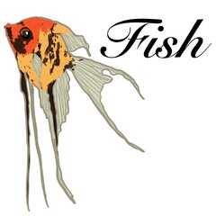 fish, aquarium, pond, ocean, tropical, exotic, bright flowers, fins, scales, aquatic, lake fish