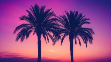 Stunning sunset with silhouetted coconut palms under a gradient sky in tropical paradise