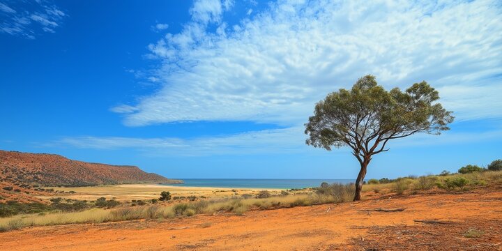 A lone tree stands in a field of dry grass and rocks. The sky is clear and blue, and the sun is shining brightly. The scene is peaceful and serene, with the tree providing a sense of calm - Powered by Adobe
