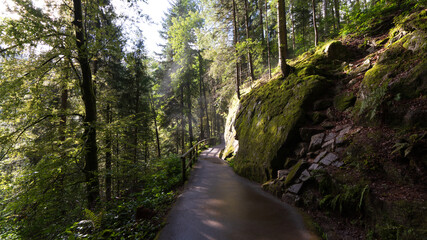 Wald - Wasserfälle
