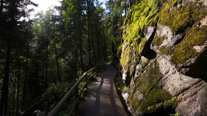 Wald - Wasserfälle