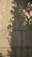 Textured cement wall with tree shadows—off-white background.