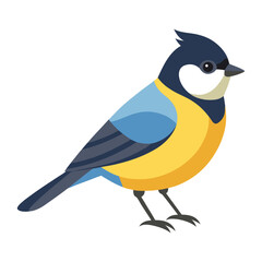 Illustration of great titmouse Isolated on white