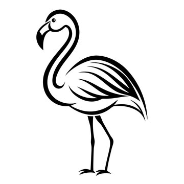 recommend clip art: Flamingo Bird Vector Illustration in Black and White