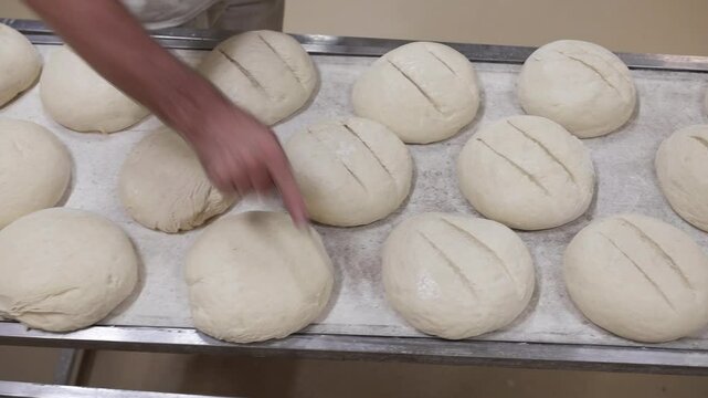 A baker's hand cuts notches into three rows of bread dough on a worktable, preparing the loaves for baking. The precise movement ensures the perfect rise in the oven creating the look of bread.