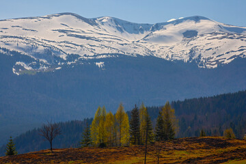 Early spring in Carpathian mountains, Svydovets mountain ridge.
