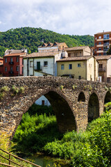 Fototapeta premium Maisons au bord du Río Fluvià à Sant Joan les Fonts en Espagne