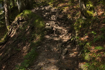 Difficult hiking track 