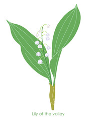 Simple Flowering Lily of the Valley Isolated on White