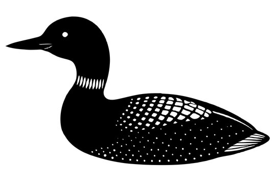recommend clip art:  Loon bird silhouette black vector art illustration