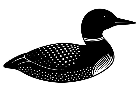 recommend clip art:  Loon bird silhouette black vector art illustration