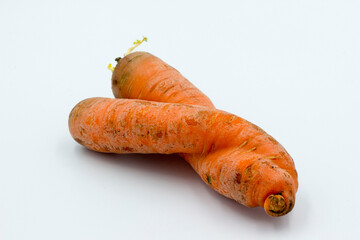 carrots have an amazing and unusual unique shape. the mutation. taken in close-up on a white...