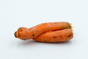 pigtail-shaped carrots on a white background