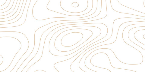 Abstract wave paper curved reliefs background .gradient multicolor wave curve lines banner background design .topographic contours map background .Vector geographic contour map.