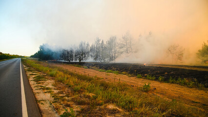 Forest fire, heavy smoke. Natural disaster