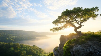 Obraz premium The Guardian Trees: Write about ancient trees on a cliff that protect a hidden treasure. 