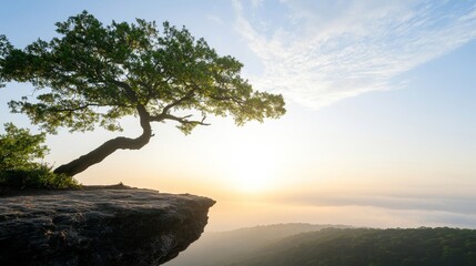 The Guardian Trees: Write about ancient trees on a cliff that protect a hidden treasure. 