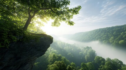 Obraz premium Whispers in the Leaves: Capture the mysterious whispers heard among the trees on a cliff.