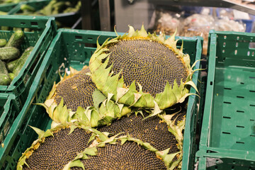 Sunflower heads in green crates at the supermarket. Harvested sunflowers ready for sale. Commonly used for removing seeds. Healthy snack idea. Organic store background.