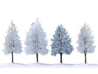 Fototapeta premium Set_of_snow-covered_winter_trees,_isolated_on_a_white_background,_ideal_for_winter_or_holiday_scenes.