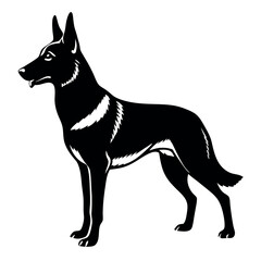 a German Shepherd dog. The dog is standing on all fours and is facing towards the left side of the image. It has a long, slender body with a pointed head and pointed ears