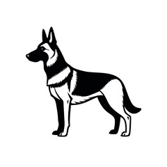 a German Shepherd dog. The dog is standing on all fours and is facing towards the left side of the image. It has a long, slender body with a pointed head and pointed ears