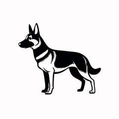a German Shepherd dog. The dog is standing on all fours and is facing towards the left side of the image. It has a long, slender body with a pointed head and pointed ears