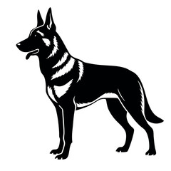 a German Shepherd dog. The dog is standing on all fours and is facing towards the left side of the image. It has a long, slender body with a pointed head and pointed ears