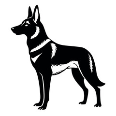 a German Shepherd dog. The dog is standing on all fours and is facing towards the left side of the image. It has a long, slender body with a pointed head and pointed ears