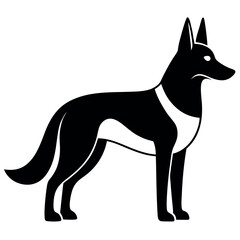 a German Shepherd dog. The dog is standing on all fours and is facing towards the left side of the image. It has a long, slender body with a pointed head and pointed ears