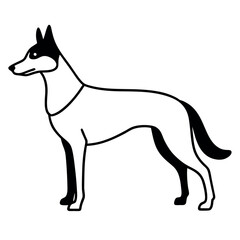 a German Shepherd dog. The dog is standing on all fours and is facing towards the left side of the image. It has a long, slender body with a pointed head and pointed ears