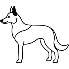 a German Shepherd dog. The dog is standing on all fours and is facing towards the left side of the image. It has a long, slender body with a pointed head and pointed ears