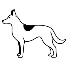 a German Shepherd dog. The dog is standing on all fours and is facing towards the left side of the image. It has a long, slender body with a pointed head and pointed ears