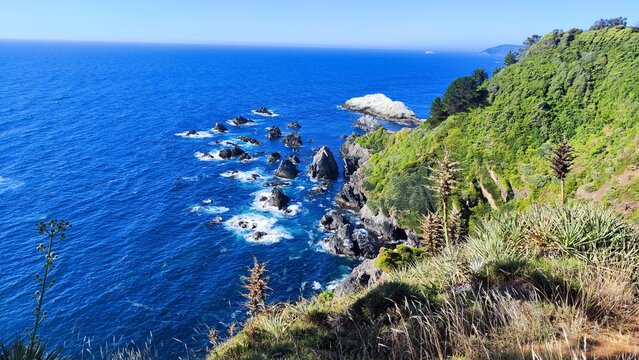 blue and green coast
