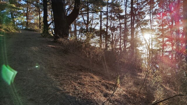 camera without filters