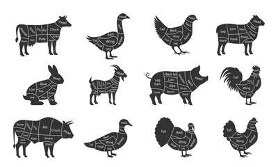 Meat cuts diagrams for various animals with step-by-step instructions. Horse, Bull, Goat, Goose, Pork, Quail, Duck, Lamb, Chicken, Turkey meat cuts. Vector Illustration.